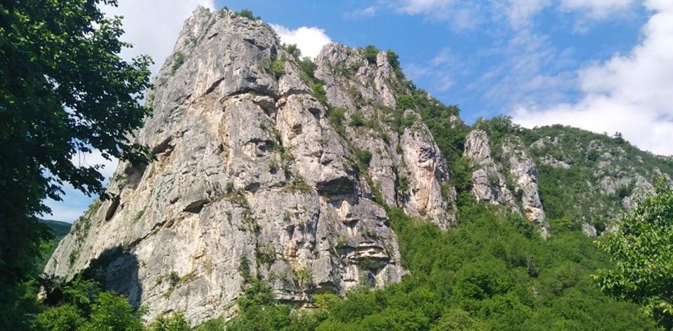 Odmaraliste Vlasko Zdrelo 피로트 외부 사진