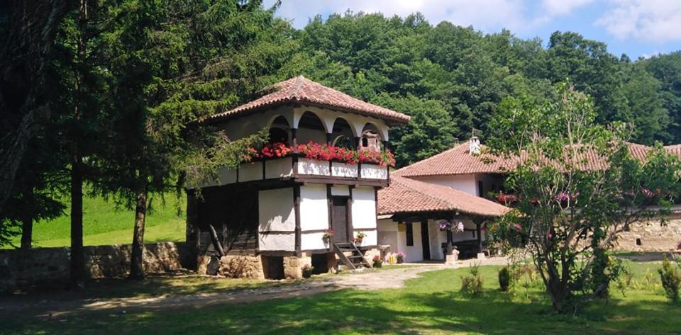 Odmaraliste Vlasko Zdrelo 피로트 외부 사진