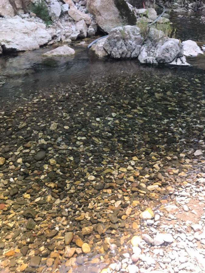 Odmaraliste Vlasko Zdrelo 피로트 외부 사진